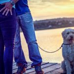 5 ok, amiért kutyával könnyebb ismerkedni